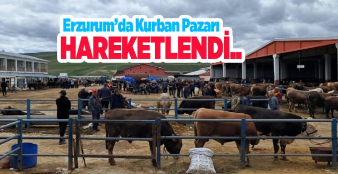 Erzurum’da kurban pazarı hareketlendi…