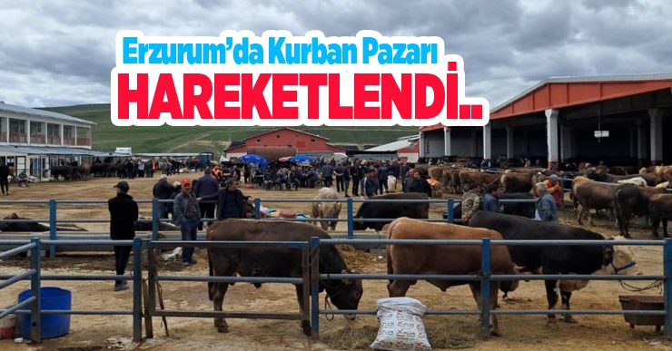 Erzurum’da kurban pazarı hareketlendi…