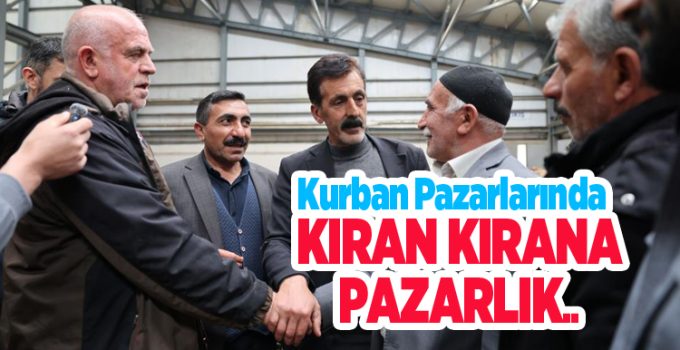 Kurban pazarlarında kıran kırana pazarlık…