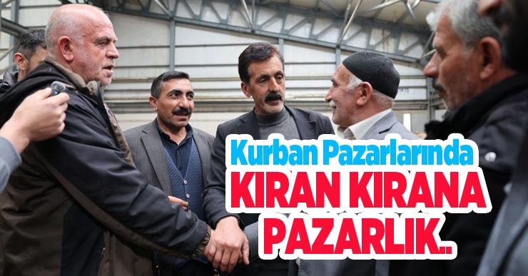 Kurban pazarlarında kıran kırana pazarlık…