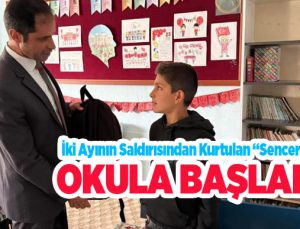 İki ayının saldırısından kurtulan Sencer okula başladı…