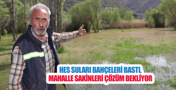 HES suları bahçeleri bastı, mahalle sakinleri çözüm bekliyor