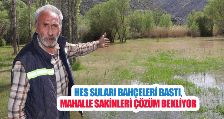 HES suları bahçeleri bastı, mahalle sakinleri çözüm bekliyor