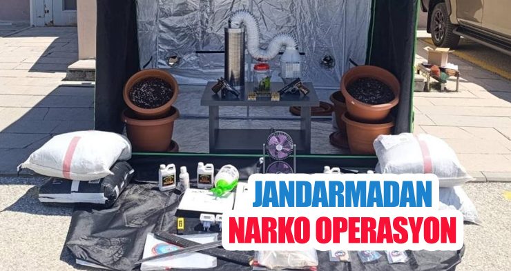 Jandarmadan narko operasyon