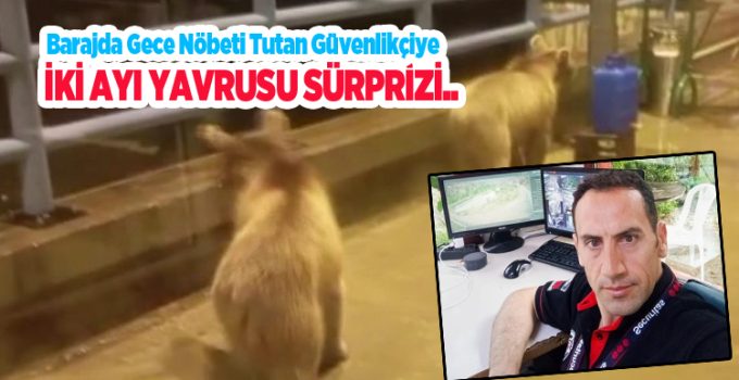 Barajda gece nöbeti tutan güvenlikçiye iki ayı yavrusu sürprizi..