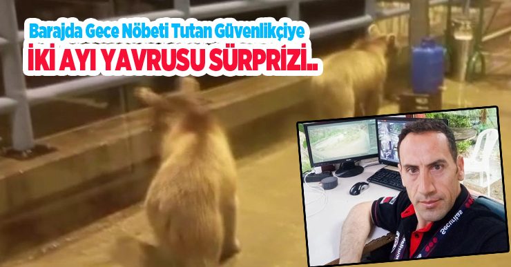 Barajda gece nöbeti tutan güvenlikçiye iki ayı yavrusu sürprizi..