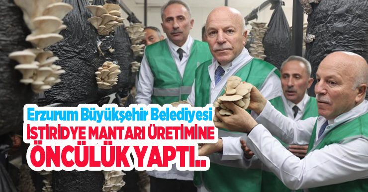 Erzurum Büyükşehir Belediyesi istiridye mantarı üretimine öncülük yaptı..
