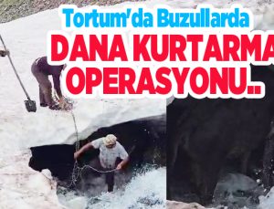 Tortum’da buzullarda dana kurtarma operasyonu..