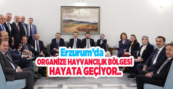 Erzurum’da dev yatırımın önündeki engel kalktı: Organize hayvancılık bölgesi hayata geçiyor…