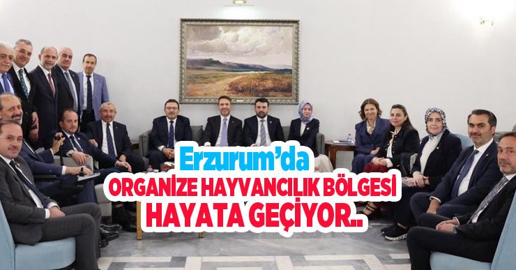 Erzurum’da dev yatırımın önündeki engel kalktı: Organize hayvancılık bölgesi hayata geçiyor…