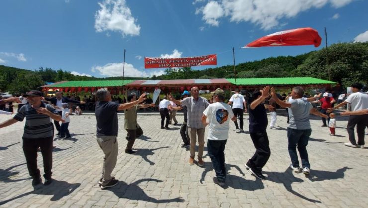 Koşapınar geleneksel yaz festivalinde buluştu…