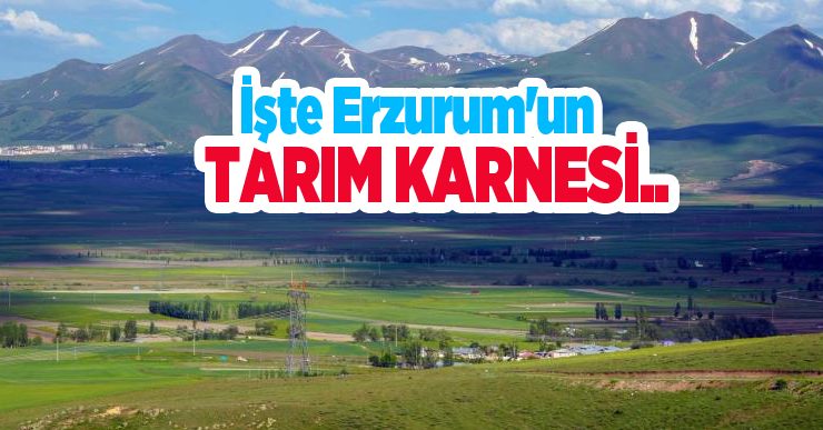 İşte Erzurum’un tarım karnesi…