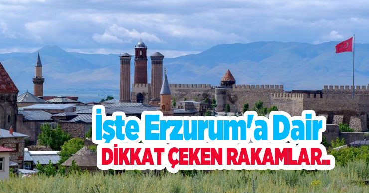 İşte Erzurum’a dair dikkat çeken rakamlar..