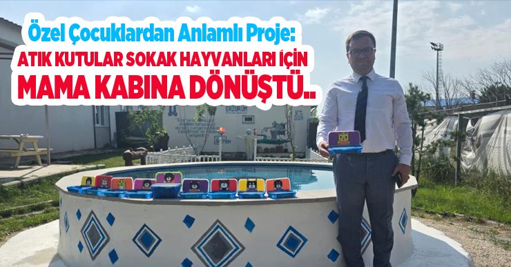 Özel çocuklardan anlamlı proje: Atık kutular sokak hayvanları için mama kabına dönüştü…