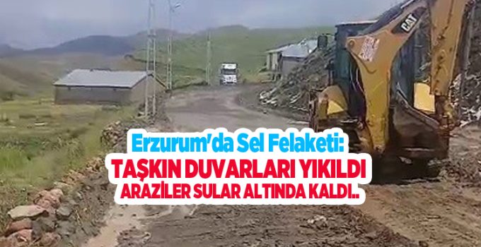 Erzurum’da sel felaketi: Taşkın duvarları yıkıldı, araziler sular altında kaldı..