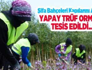 Erzurum’da toprağın altı da üstü de hazine: Şifa Bahçeleri kapılarını açıyor, yapay trüf ormanı tesis edildi…