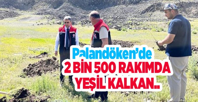 Palandöken’de 2 bin 500 rakımda yeşil kalkan…
