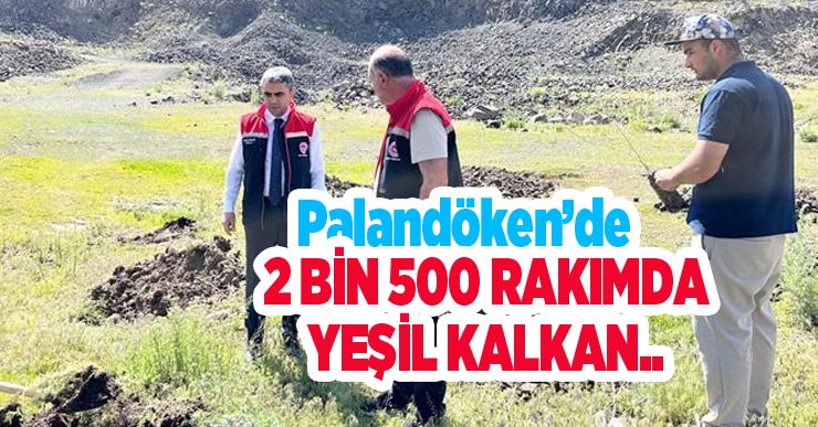 Palandöken’de 2 bin 500 rakımda yeşil kalkan…