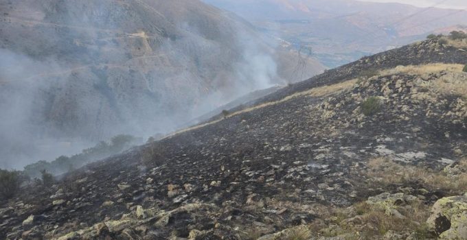 İspir’de orman yangını: Özel donanımlı arazöz ilk sınavını başarıyla verdi..