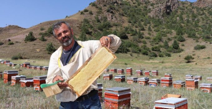 Oltu’da sezonun ilk bal hasadı yapıldı…