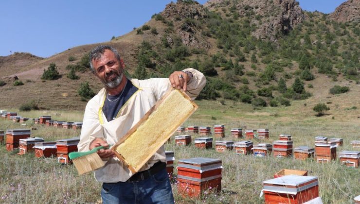 Oltu’da sezonun ilk bal hasadı yapıldı…