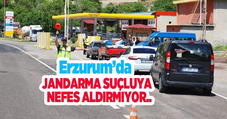 Erzurum’da jandarma suçluya nefes aldırmıyor…