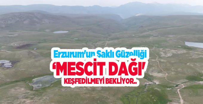 Doğa tutkunlarının yeni gözdesi: Erzurum’un saklı güzelliği ‘Mescit Dağı’ keşfedilmeyi bekliyor..