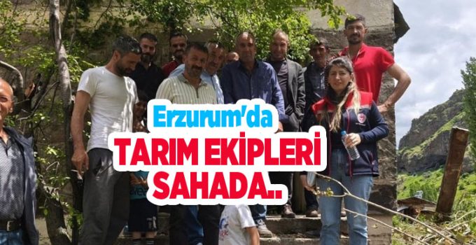 Erzurum’da tarım ekipleri sahada…