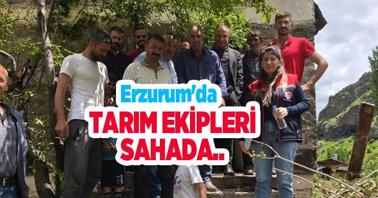 Erzurum’da tarım ekipleri sahada…
