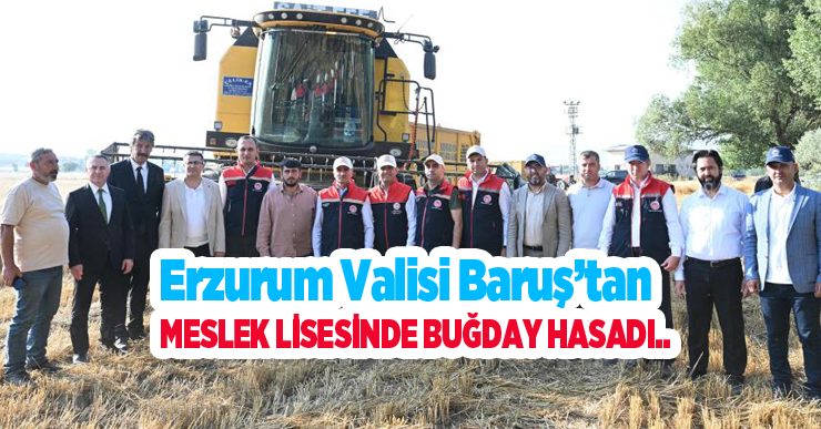 Erzurum Valisi Baruş’tan meslek lisesinde buğday hasadı..