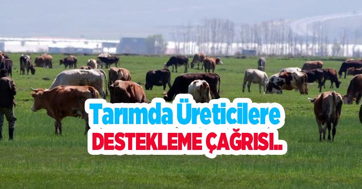 Tarımda üreticilere destekleme çağrısı..