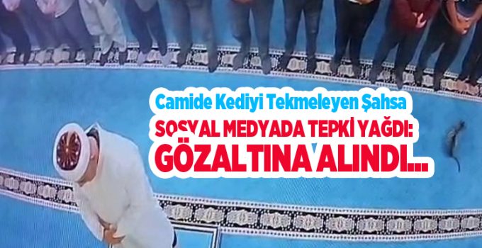 Camide kediyi tekmeleyen şahsa sosyal medyada tepki yağdı: Başsavcılık harekete geçti, gözaltına alındı..