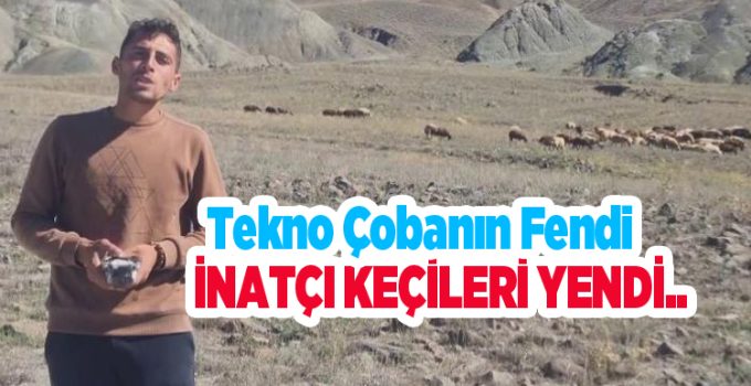 Tekno Çobanın fendi inatçı keçileri yendi..