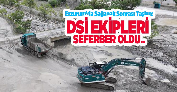 Erzurum’da sağanak sonrası taşkın: DSİ ekipleri seferber oldu