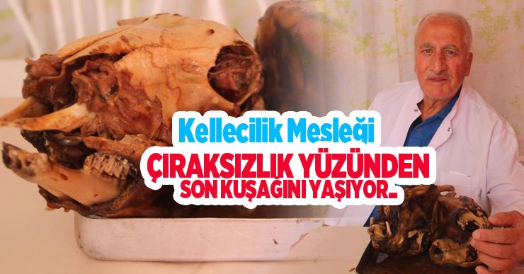 Kellecilik mesleği çıraksızlık yüzünden son kuşağını yaşıyor..