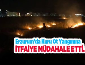 Erzurum’da kuru ot yangınına itfaiye müdahale etti..