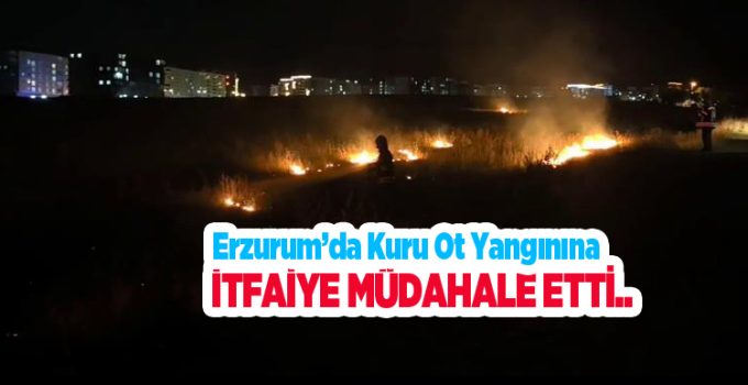 Erzurum’da kuru ot yangınına itfaiye müdahale etti..
