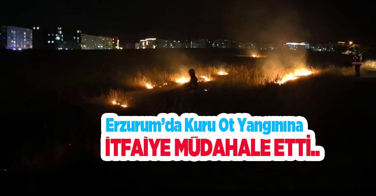 Erzurum’da kuru ot yangınına itfaiye müdahale etti..