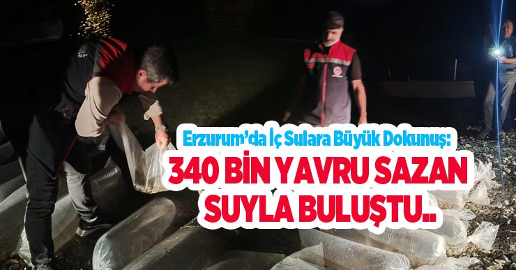 Erzurum’da iç sulara büyük dokunuş: 340 bin yavru sazan suyla buluştu..