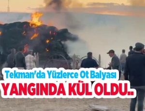 Tekman’da yüzlerce ot balyası yangında kül oldu..