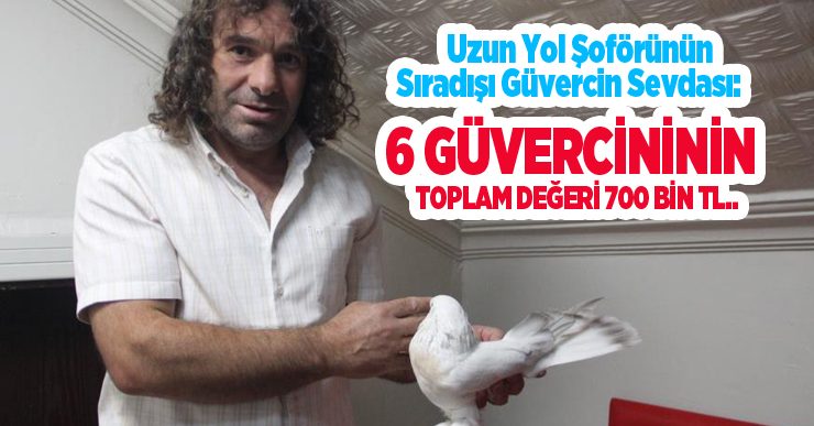 Uzun yol şoförünün sıradışı güvercin sevdası: 6 güvercininin toplam değeri 700 bin TL…