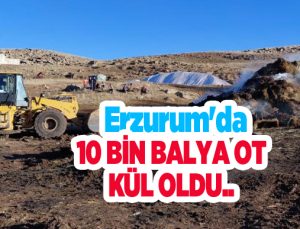 Erzurum’da 10 bin balya ot kül oldu…