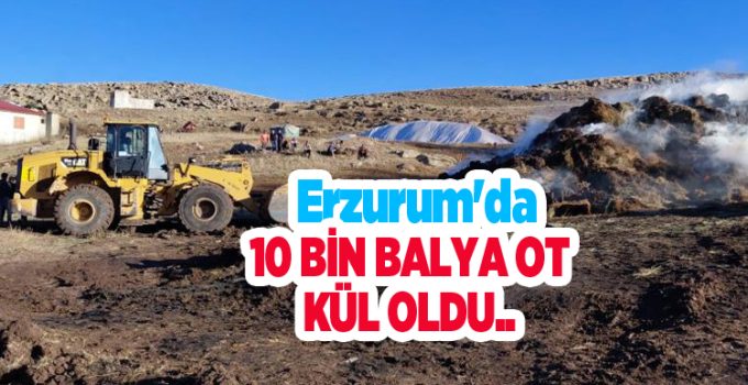 Erzurum’da 10 bin balya ot kül oldu…