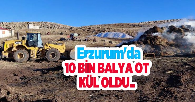 Erzurum’da 10 bin balya ot kül oldu…