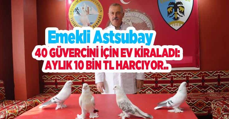 Emekli astsubay, 40 güvercini için ev kiraladı: Aylık 10 bin TL harcıyor..