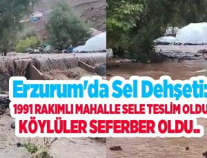 Erzurum’da sel dehşeti: 1991 rakımlı mahalle sele teslim oldu, köylüler seferber oldu..