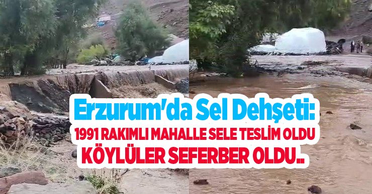 Erzurum’da sel dehşeti: 1991 rakımlı mahalle sele teslim oldu, köylüler seferber oldu..