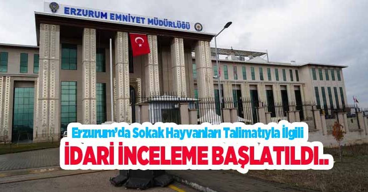 Erzurum’da sokak hayvanları talimatıyla ilgili idari inceleme başlatıldı..