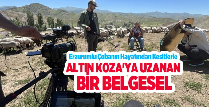 Erzurumlu çobanın hayatından kesitlerle Altın Koza’ya uzanan bir belgesel..
